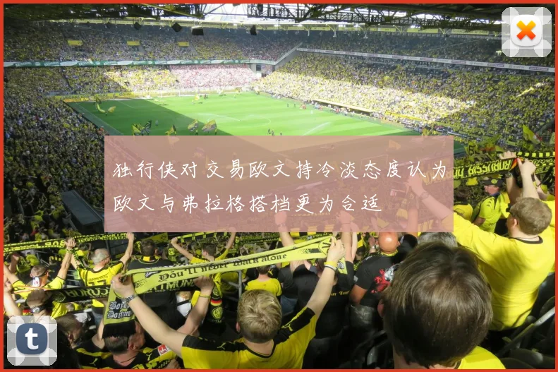独行侠对交易欧文持冷淡态度认为欧文与弗拉格搭档更为合适