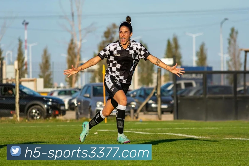 3377体育品牌故事