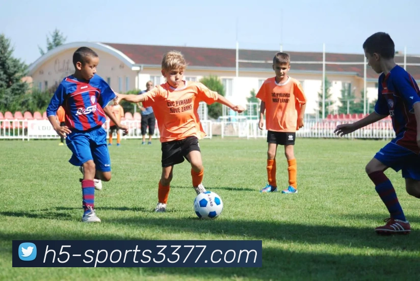 3377体育服务体系