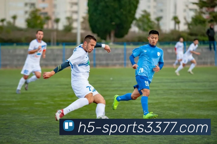 多媒体互动体验